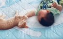 赤ちゃんが『妙に静かだな』と思ったら、子猫と一緒にいて…微笑ましす…