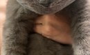 『爪切りが苦手な猫』→排水溝ネットを被せたら…笑ってしまう光景が132…