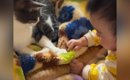 一緒にくつろいでいた『赤ちゃんと猫』を見守っていたら…涙が出るほど…