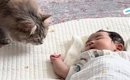 赤ちゃんがリビングで寝ていると、猫が近づいてきて…次の瞬間→思わず…