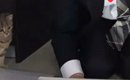 引っ越し業者さんの説明を受けていたら、猫が……『まさかの行動』が可…