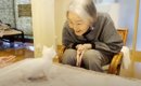 『97歳のおばあちゃん』と『0歳の子猫』を会わせてみたら…すてきなリ…