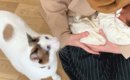ママが赤ちゃんを初めて連れて帰ったら…2匹の猫が見せた『尊すぎる反…