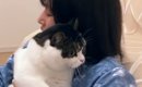 酔っ払いのママに『近づいてしまった猫』→捕まってしまい…笑ってしま…
