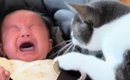 『泣き出してしまった赤ちゃん』に……実家の猫が見せた『まさかの行動…