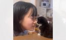 子猫が可愛すぎて…女の子が思わず『食べるフリ』をした結果→97万再生…