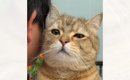 久しぶりに帰ってきたお兄ちゃんに……思い出した猫が見せた『愛おしす…