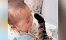 猫がしっぽを使って『赤ちゃん』と遊んだ結果…いつまでも眺めていたい…