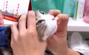 猫の鼻の穴に『何かができている』→心配になり病院に行った結果…獣医…