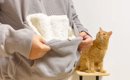 パーカーのポケットに『猫を入れてみた』結果…まさかの『可愛すぎる光…