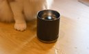 水でびちゃびちゃになっていたテーブルの上→そばにいた『猫の顔』を見…