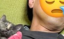 仕事で疲れて寝ていたお父さん→となりを見てみると、『猫』が…幸せあ…