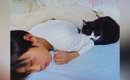 幼いころからずっと一緒の男の子と猫→出会いから20年…胸が熱くなる『…
