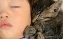 ソファを見たら、『赤ちゃんと子猫たち』が集まっていて…とんでもなく…