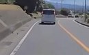 車の運転中、道路脇で『何かが動いている』のが見えて…小さな命が救わ…