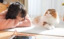 疲れ切って早退してきた娘に猫がとった行動…思わず涙してしまう『心温…