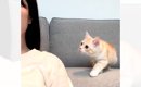 『まったく動かない飼い主』を見て…心配になった猫の『可愛すぎる行動…