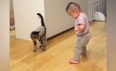 赤ちゃんが初めて"ひとりで歩いているところ"を目撃した猫……