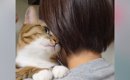 家族で順番に『ネコを抱っこ』した結果…『父と次男への反応』が面白す…