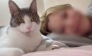 愛猫とまったりしていただけなのに…思わず『なんで？』と声がでた『ま…