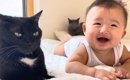 生まれたときからずっと一緒の赤ちゃんと猫…本当の兄弟のように育った…