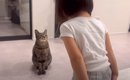 5歳の女の子が猫に『人間の挨拶』を教えたら…『まさかすぎる結果』に&…