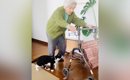 94歳のおばあちゃん→カートを押していると、『猫』がやって来て…心温…