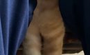 娘の膝の間でくつろぐ猫…『とんでもない光景』に爆笑する人が続出「リ…