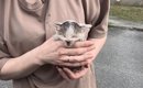 手の届かない下水管の中で『3日間鳴き続けていた子猫』→保護から4か月…