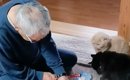 実家に猫たちを預けたら……父が見せた『とんでもないスゴ技』が321万再…