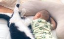赤ちゃんがお昼寝していると、そっと猫がやって来て…『泣けるほど愛お…