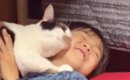 長男のことが大大大好きな『三毛猫』→寝る前になると…想像を超えてく…