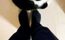 いつもより早く『パパが帰宅』した結果、猫が……尊さ限界突破の『お出…