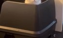 トイレに入っていた猫→『表情』を見ると…思わず笑ってしまう『一生懸…