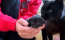 野良猫が産んだ生後５日目の子猫をこっそり抱っこしたら…予想もしてな…