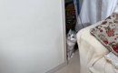 久しぶりに帰省した長男→猫2匹と『再会』した結果……思わず笑っちゃう…