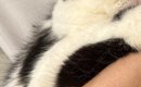 爪を切ろうと『猫を抱っこ』したら…涙が出るほど可愛い『表情』と『お…
