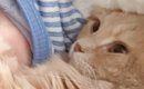 「殺意を感じるｗ」なんか息苦しいなと思ったら、隣にいた猫が…昼寝中…