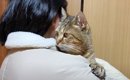 元野良猫が大好きな女の子に『初めて抱っこされた』結果…かわいすぎる…