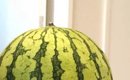 丸くなっている猫のとなりに『スイカ』を置いた結果→模様を見比べると…