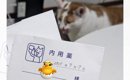 動物病院で処方された猫の抗不安薬→袋の『メモ書き』を見てみたら……予…