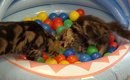 猫たちが『ボールプール』で遊んだ結果→遊び疲れた子猫が…可愛すぎる…