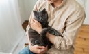 猫のことを『幸せにさせる飼い主』に共通する特徴5つ　参考にしたい接…