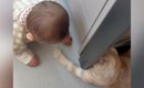 足元を見ると、赤ちゃんと猫が遊んでいて…とんでもなく可愛い『やり取…
