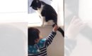 子どもが猫と一緒に遊びたくて『尻尾に手を伸ばした』結果…まさかの対…