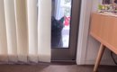 『突然家に現れた野良の黒猫』を追い払って３か月後…まさかの光景に涙…