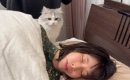 疲れて眠っているママを発見した『子猫』→布団をめくってあげると…「…