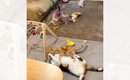 激しくケンカをする2匹の猫→見ていた『赤ちゃんが泣きだした』結果…ま…