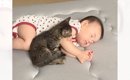 近くにやって来た小さな子猫に……生後8か月の赤ちゃんがとった『驚くべ…