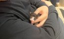 生後1か月で体重わずか102g、手のひらに収まるほど小さかった猫が…涙…